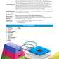 Foundation  Lesson_One_Overview Key_Vocabulary