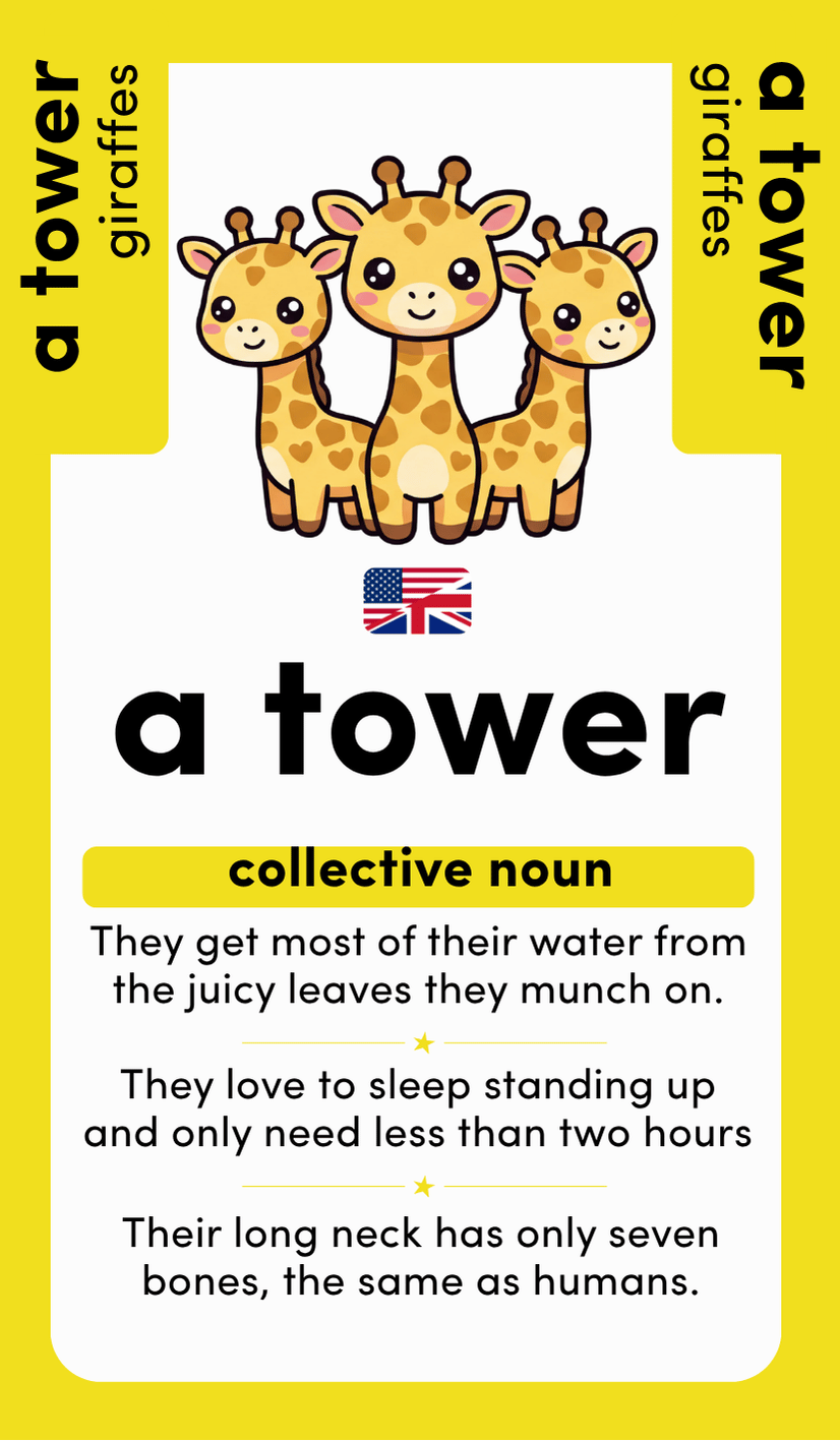 Collectively Known: Land, Sky & Sea: 26 Collective Nouns