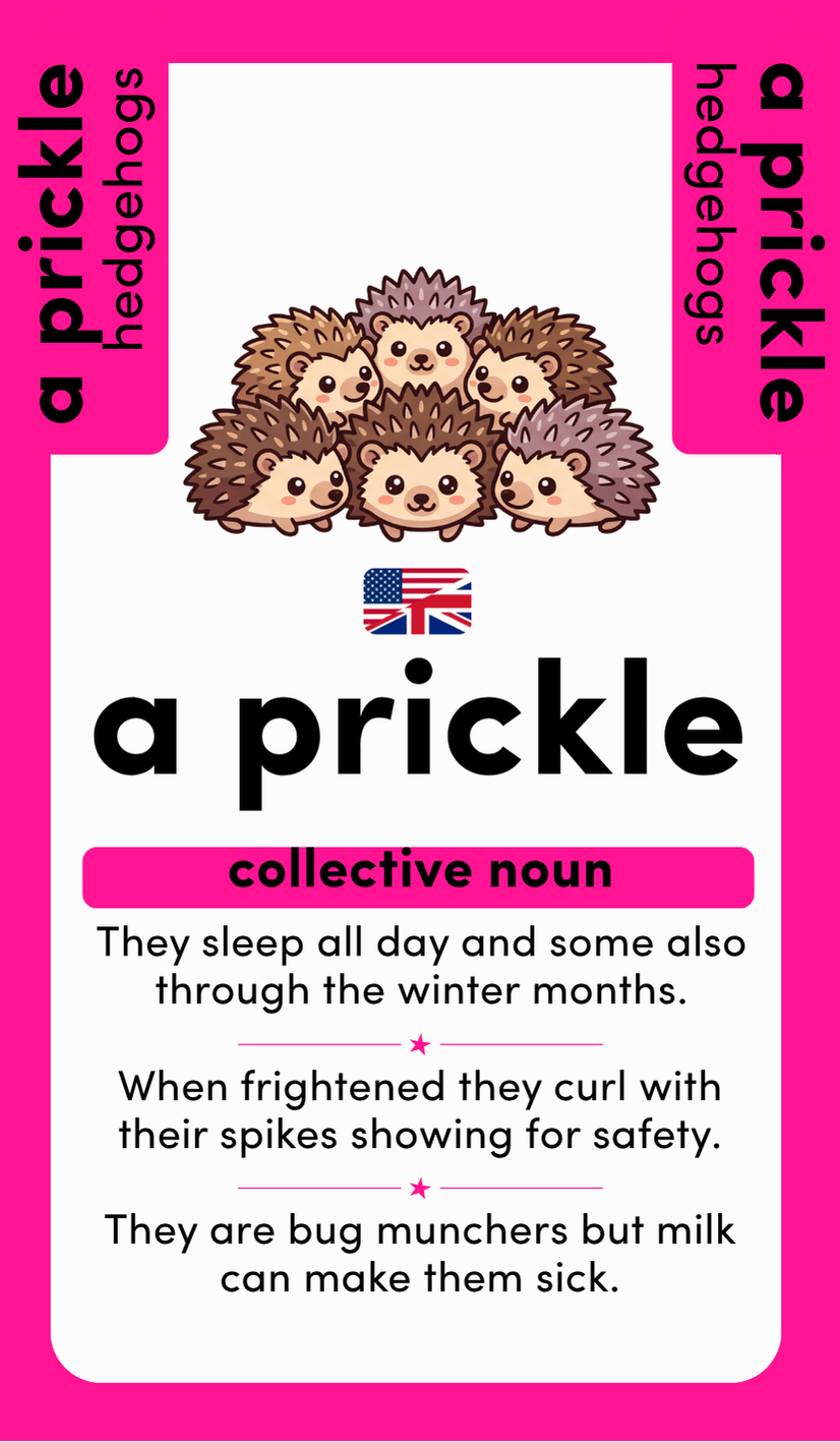 Collectively Known: Land, Sky & Sea: 26 Collective Nouns