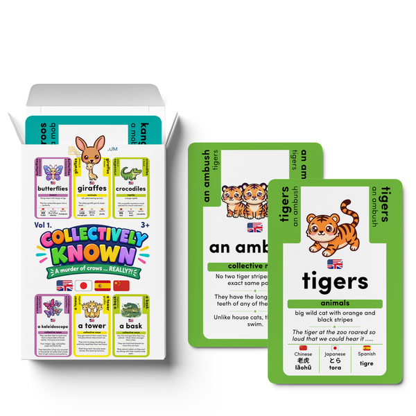 Collectively Known: Collective Nouns Animal Flash Card Game