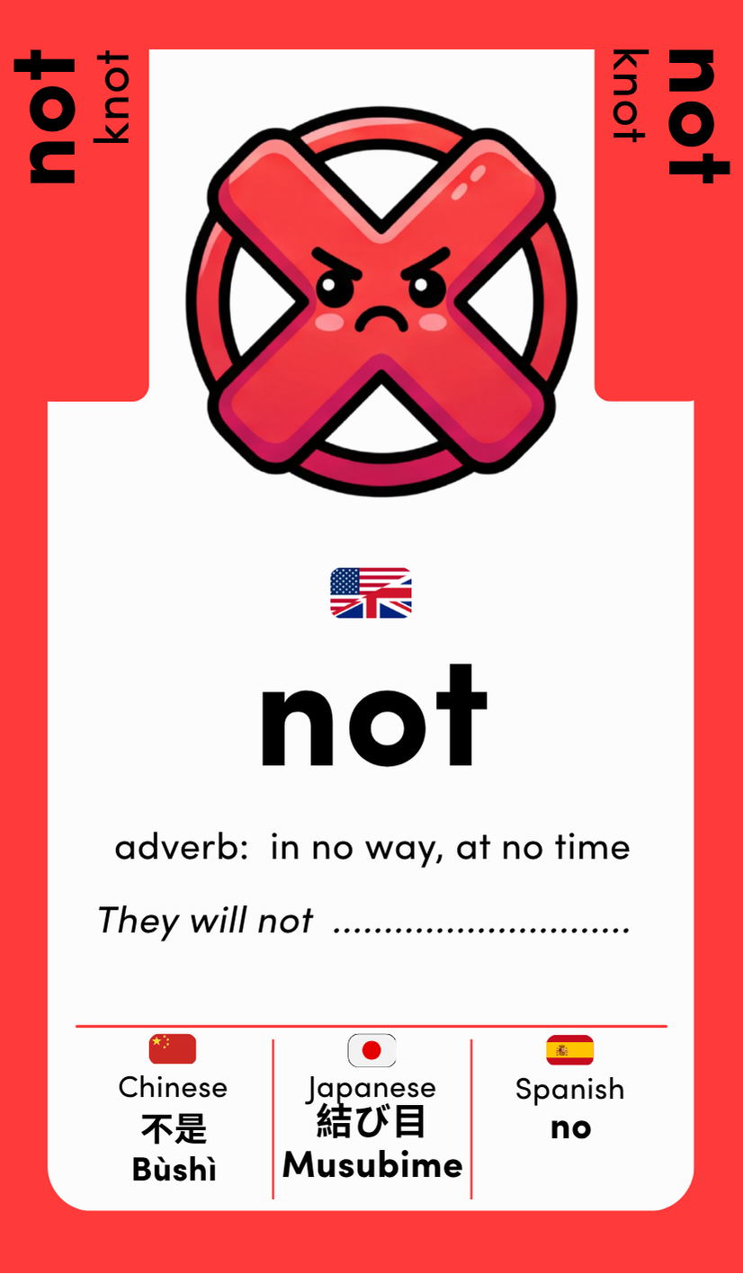 Word Twins: Vol. 1 : 26 homophone pairs