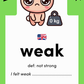 Word Twins: Vol. 1 : 26 homophone pairs