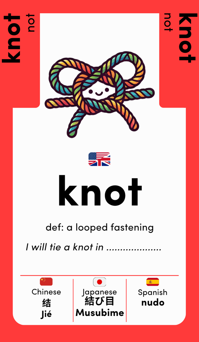 Word Twins: Vol. 1 : 26 homophone pairs
