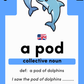 Collectively Known: Land, Sky & Sea: 25 collective nouns