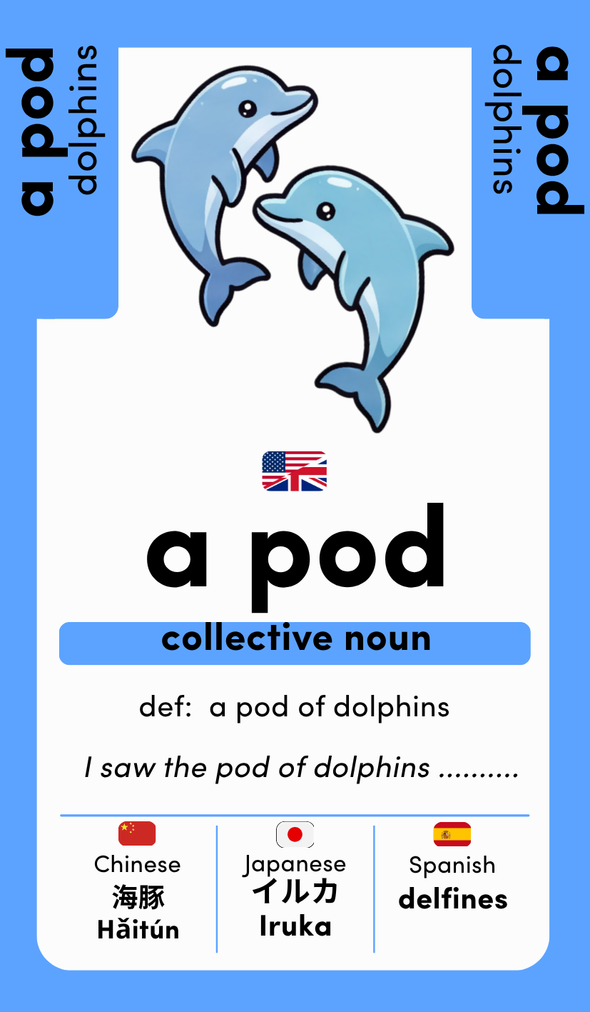 Collectively Known: Land, Sky & Sea: 25 collective nouns