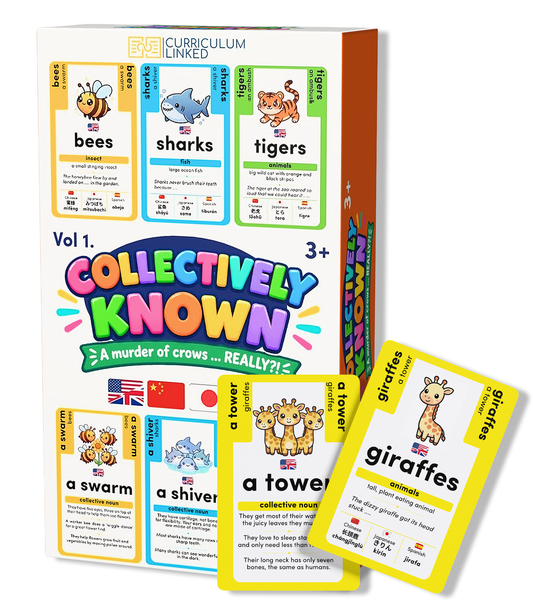 Collectively Known: Collective Nouns Animal Flash Card Game